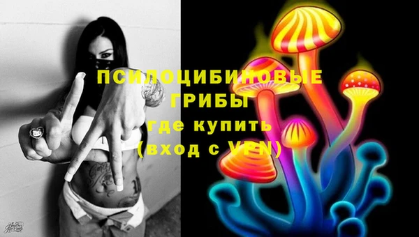 стафф Алексеевка