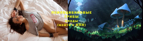 стафф Алексеевка