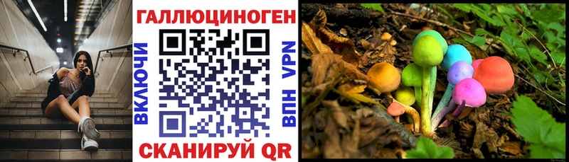 hydra зеркало  Владимир  Галлюциногенные грибы Cubensis  купить наркотики цена 
